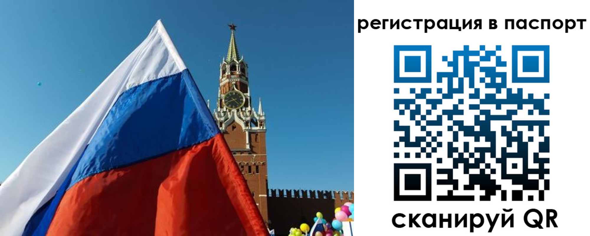 найти адрес прописки в Елизово